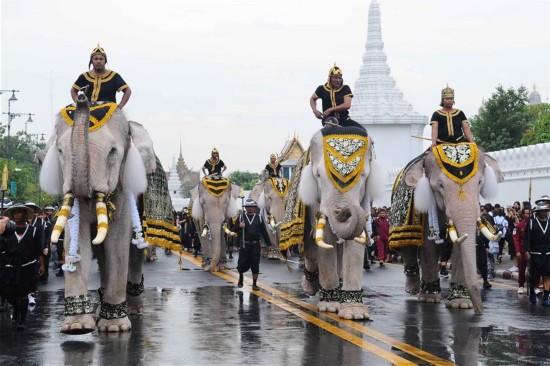 Elefantes en el homenaje al fallecido rey de Tailandia